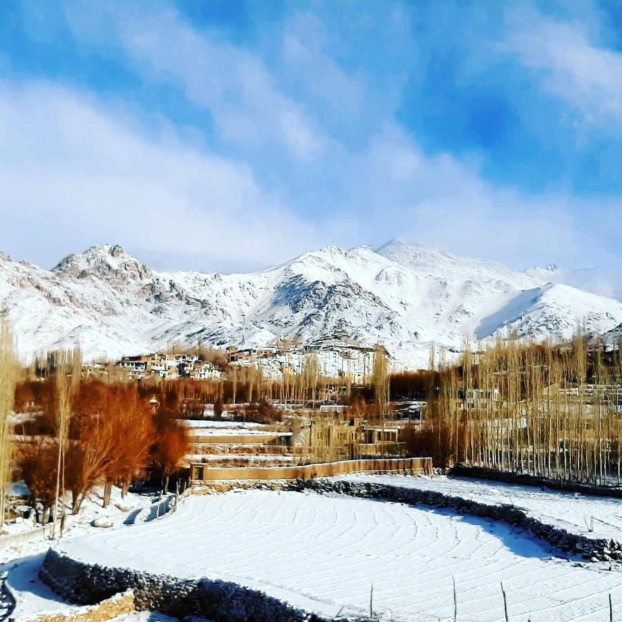 Ladakh Country Inn 列城 外观 照片