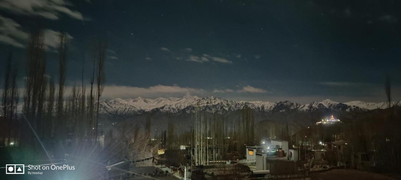 Ladakh Country Inn 列城 外观 照片