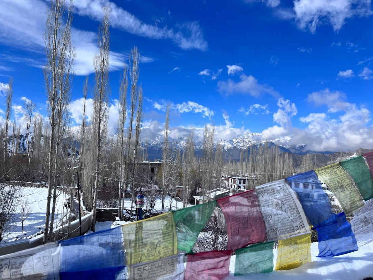 Ladakh Country Inn 列城 外观 照片
